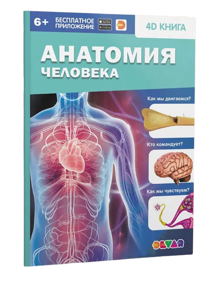 4D книга Анатомия человека