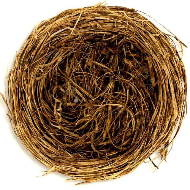 Пасхальный декор  - Птичье гнездо, 7 см.