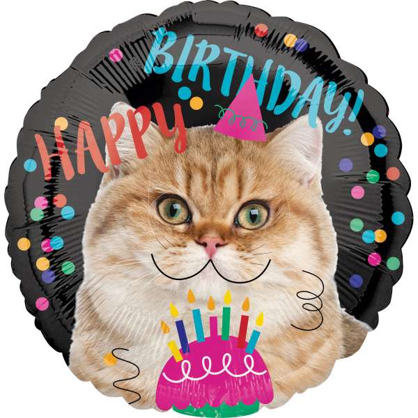 Фольгированный шар 18 RND Happy Birthday - Cat
