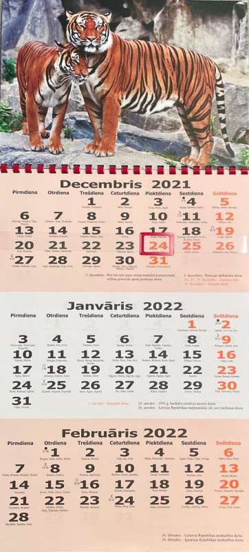 Настенный календарь 2022 IRARS A3 (3 месяца / 1 спираль)