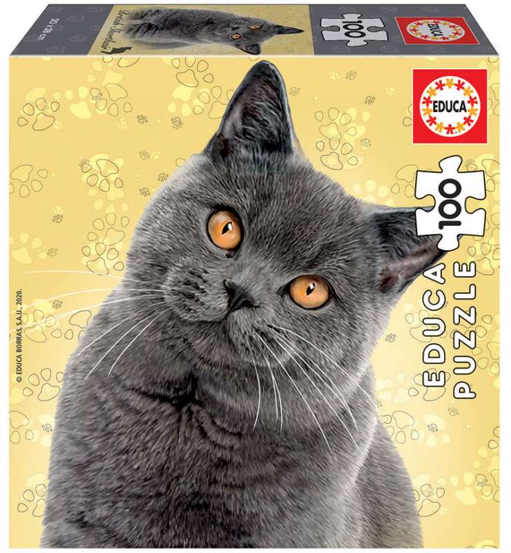 Puzzle EDUCA British Shorthair, 100 деталей