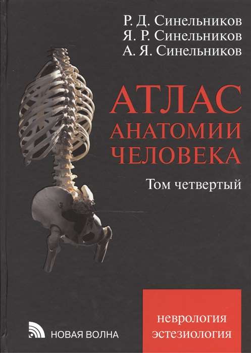 Атлас анатомии человека т4
