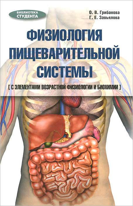 Физиология пищеварительной системы. Учебное пособие