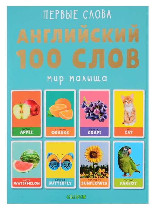 Английский: 100 слов. Мир малыша