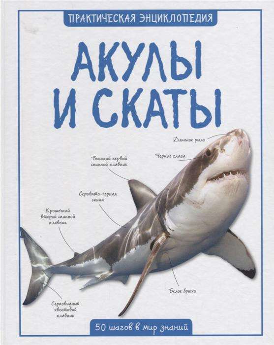 Акулы и скаты. 50 шагов в мир знаний