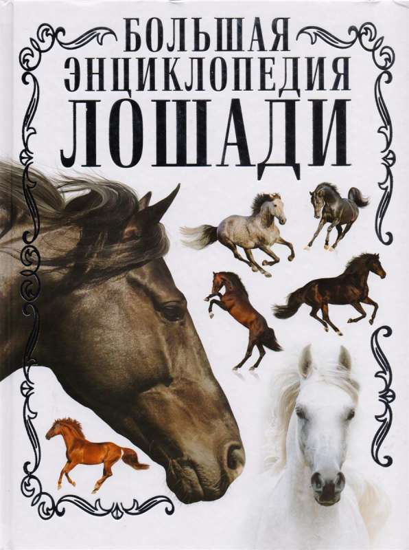 Лошади. Большая энциклопедия