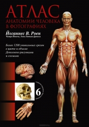 Атлас анатомии человека в фотографиях. 6-е издание