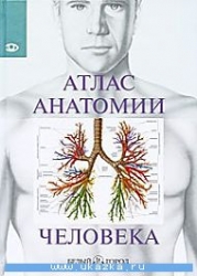 Атлас анатомии человека. Все органы человека