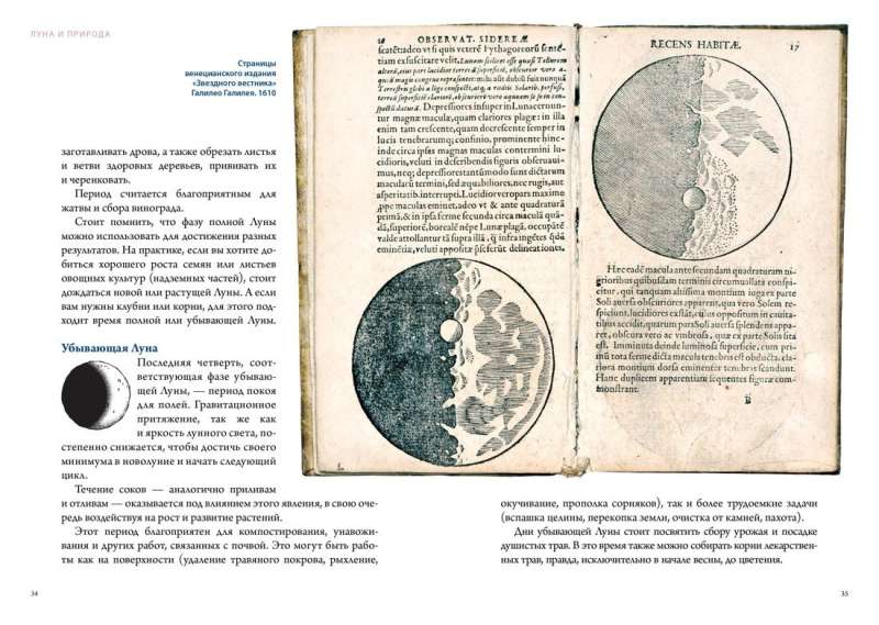 Луна в мифологии, культуре и эзотерике