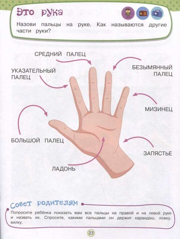 Развивающие игры для детей в духе Монтессори