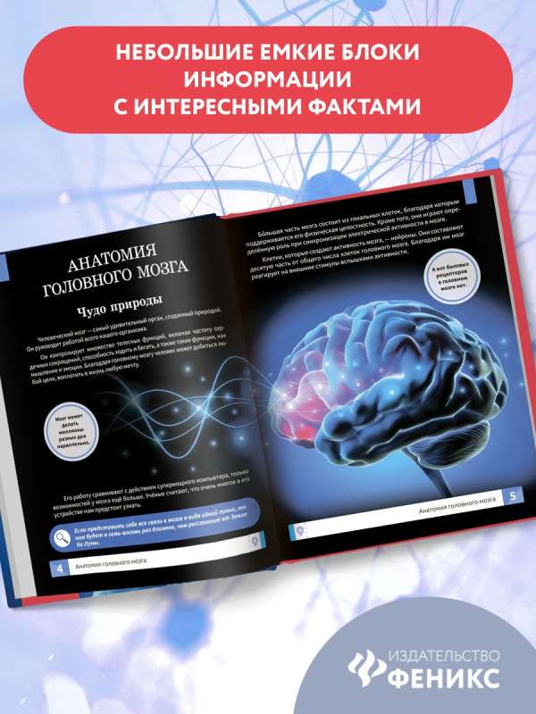 Мозг человека: самая умная энциклопедия