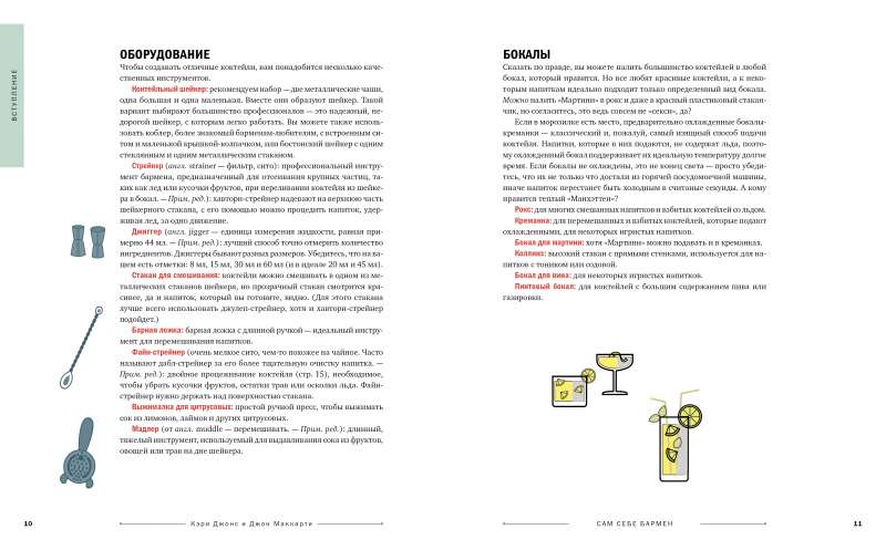 Сам себе бармен. Безошибочный путеводитель по поиску (и приготовлению) идеального коктейля