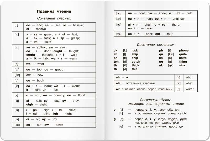 Тетрадь для записи английских слов в начальной школе (Ёжик)
