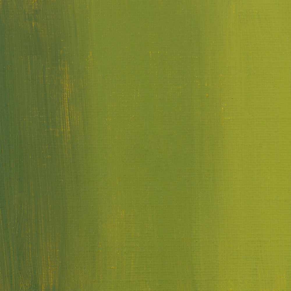 Акриловая краска оливковая «Сонет» в тубе, 120 мл