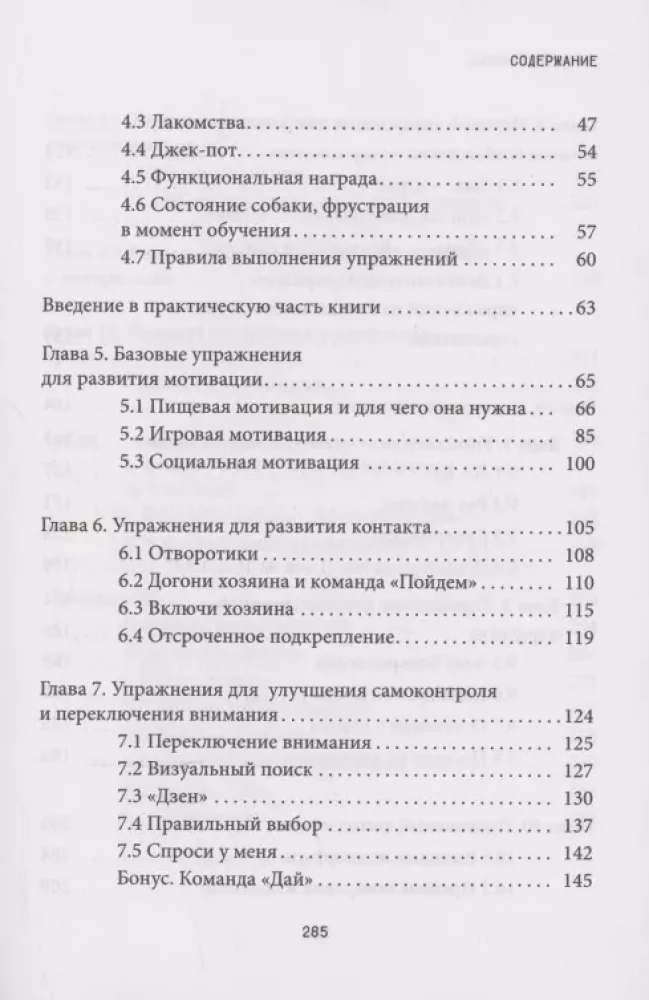 Не тяни! Как научить собаку гулять на провисшем поводке