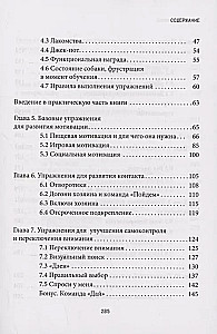 Не тяни! Как научить собаку гулять на провисшем поводке