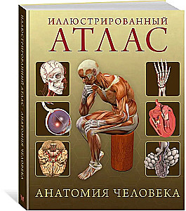 Иллюстрированный атлас. Анатомия человека