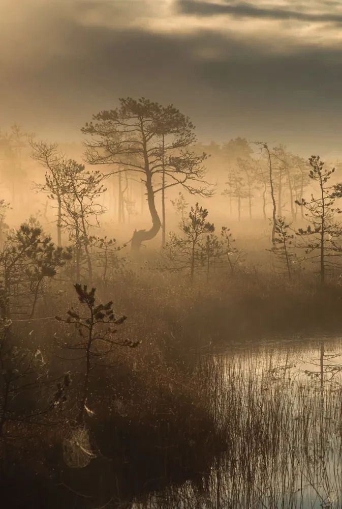 Kadris otsides. Kõik, mida soovisite teada reisimise fotograafiast samm-sammult