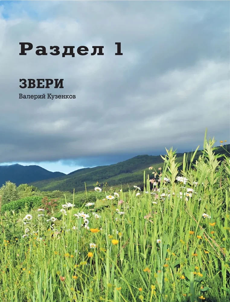 Охота. Большая энциклопедия. 17 диких зверей