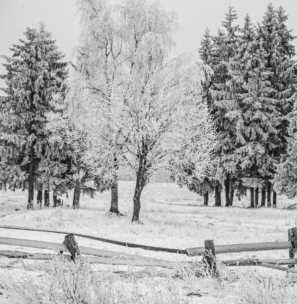 Монохром. Пронзительная красота России в черно-белых фотографиях Ивана Дементиевского