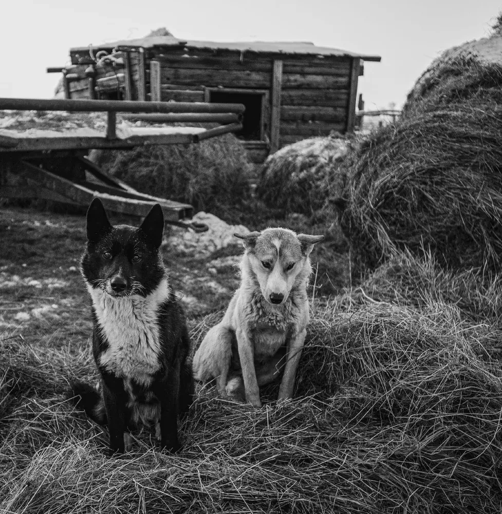 Монохром. Пронзительная красота России в черно-белых фотографиях Ивана Дементиевского