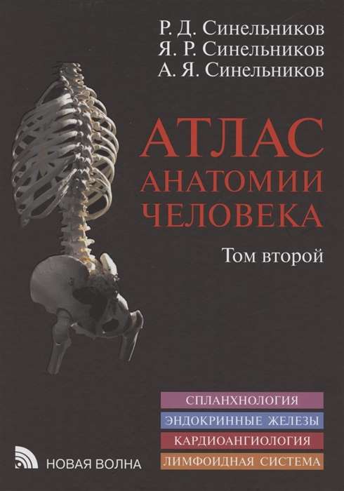 Атлас анатомии человека в 3-х томах. Том 2. Учение о внутренностях, эндокринных железах, сердечно-со